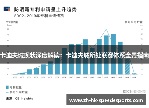 卡迪夫城现状深度解读:卡迪夫城所处联赛体系全景指南 卡迪夫城现状深度解读:卡迪夫城所处联赛体系全景指南
